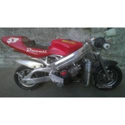 Minimoto raffreddata a liquido 50 cc