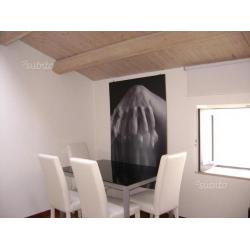 Via Ventimiglia loft arredato 40 mq