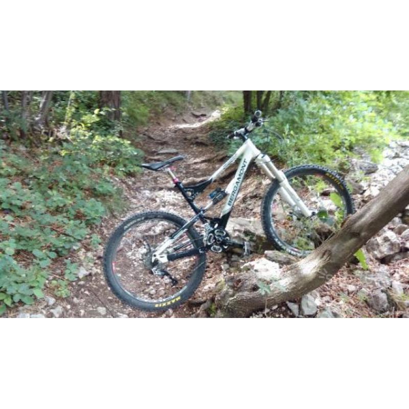 Bicicletta da enduro Bergamont